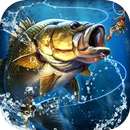 Fishing Everyday APK