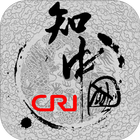 중국통 icône