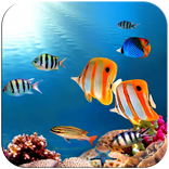 3D Underwater World