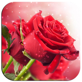 3D Rose icon