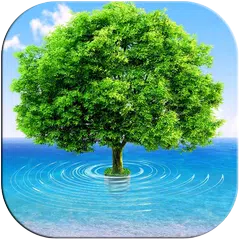 3D Tree APK download