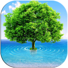 3D Tree icône
