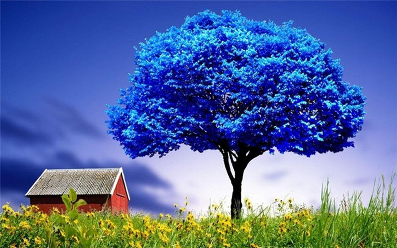 3D Tree APK for Android – Download 3D Tree APK Latest Version from 3D Tree APK for Android – Download 3D Tree APK Latest Version from