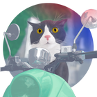 Cat Moped icon