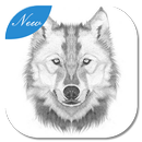 How to draw a Wolf APK