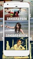 Sandara Park Wallpapers KPOP HD ภาพหน้าจอ 2