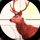 Deer Expert Shooter aplikacja