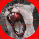 Lion Attack 3D aplikacja