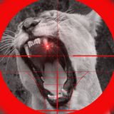 Lion Attack 3D biểu tượng
