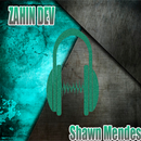 Shawn Mendes APK