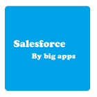 Big Apps Salesforce ícone