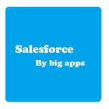 Big Apps Salesforce ícone