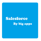 Big Apps Salesforce 圖標