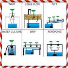 Hydroponic Systems-icoon