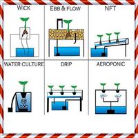 Hydroponic Systems पोस्टर