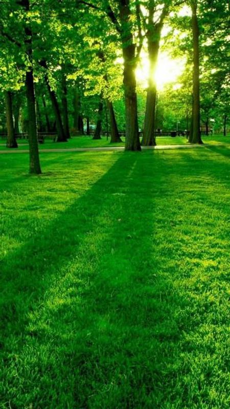 Download 700 Wallpaper Android Pemandangan HD Paling Keren Download 700 Wallpaper Android Pemandangan HD Paling Keren