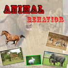 Animal Behavior icône