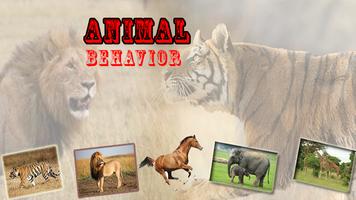 Animal Behavior Affiche