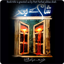 Shaam Ky Baad Urdu Poetry Book APK