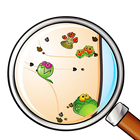 Daily Disease Surveillance आइकन