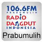 RDI 106.6 FM - PRABUMULIH icône