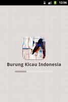 Burung Kicau Indonesia Affiche