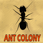 Ant Colony 圖標