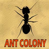 Poster Ant Colony