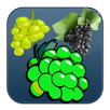 APK Grape Twist