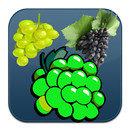 APK Grape Twist