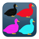 APK Duck Fly