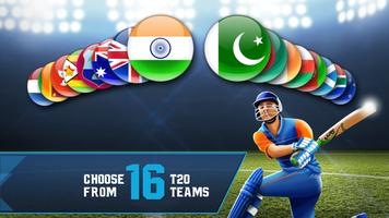 Cricket T20 2017-Multiplayer Game تصوير الشاشة 1