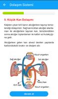 Fen Bilimleri 6. Sınıf 截圖 3