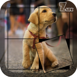 Dogs and puppies puzzle