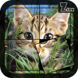 Puzzle Cats
