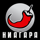 Niagara icon