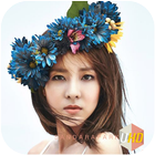 Sandara Park Wallpaper UHD icône