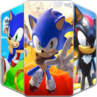 Hedgehog HD Wallpaper 2018 icon