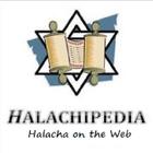 Halachipedia أيقونة