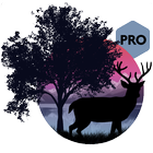 Amazing Land Pro icon