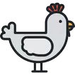 Linux  Bash Reference Manual