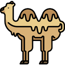 Perl Language Reference Guide APK