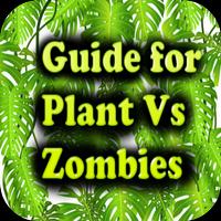 Guide for Plant Vs Zombies Affiche