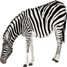 Icona Zebra