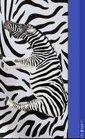 Zebra पोस्टर