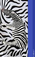 2 Schermata Zebra
