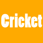 Live Cricket Score::2017 أيقونة