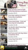 Funny Dog Videos-poster