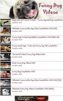 Funny Dog Videos स्क्रीनशॉट 2