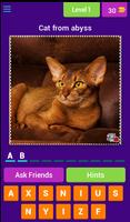 Cat Lovers Guess The Cat Game اسکرین شاٹ 1